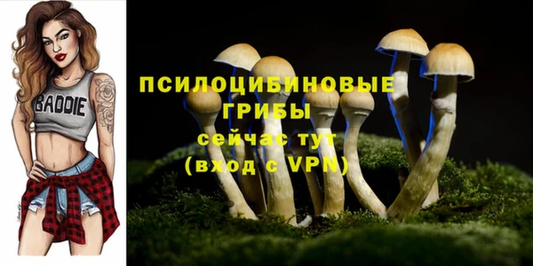 дживик Нея