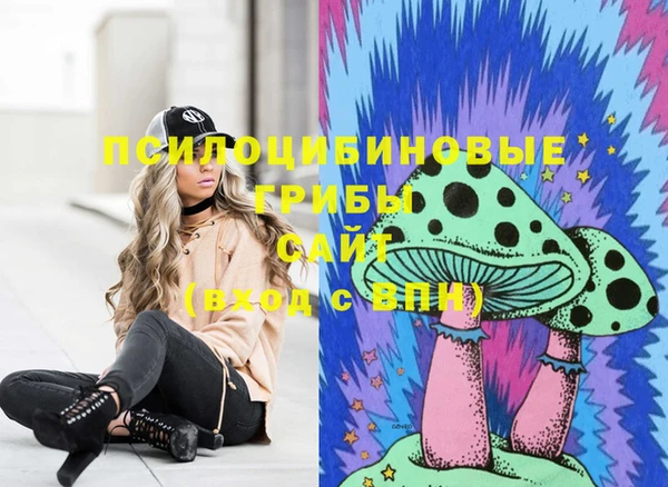 дживик Нея