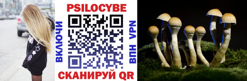 Псилоцибиновые грибы Magic Shrooms что такое наркотик Катав-Ивановск